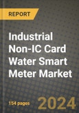 Industrial Non-IC Card Water Smart Meter Market Report: Industry Size, Market Shares Data, Latest Trends, Insights, Growth Potential, CAGR Forecasts to 2034- Product Image