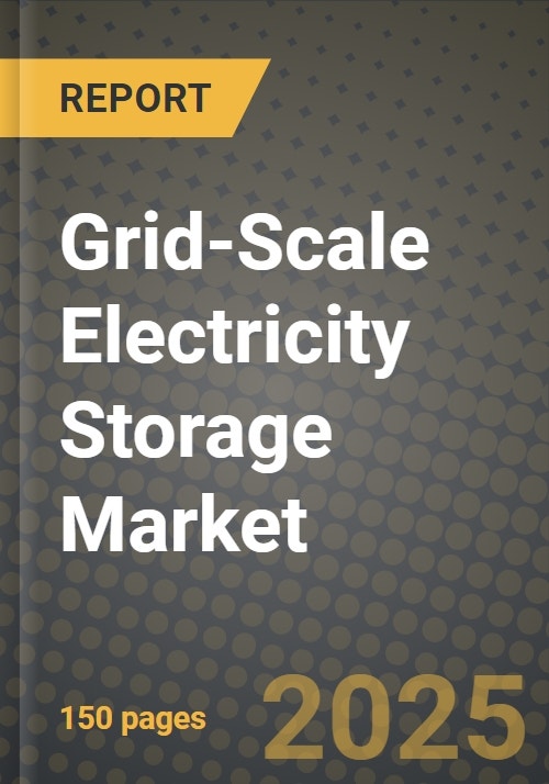 GridScale Electricity Storage Market Outlook Report Industry Size