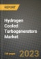 Hydrogen Cooled Turbogenerators Market Outlook Report - Industry Size, Trends, Insights, Market Share, Competition, Opportunities, and Growth Forecasts by Segments, 2022 to 2030 - Product Image