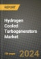 Hydrogen Cooled Turbogenerators Market Report: Industry Size, Market Shares Data, Latest Trends, Insights, Growth Potential, CAGR Forecasts to 2034 - Product Image
