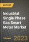 Industrial Single Phase Gas Smart Meter Market Outlook Report - Industry Size, Trends, Insights, Market Share, Competition, Opportunities, and Growth Forecasts by Segments, 2022 to 2030 - Product Thumbnail Image