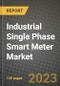 Industrial Single Phase Smart Meter Market Outlook Report - Industry Size, Trends, Insights, Market Share, Competition, Opportunities, and Growth Forecasts by Segments, 2022 to 2030 - Product Image