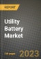 Utility Battery Market Outlook Report - Industry Size, Trends, Insights, Market Share, Competition, Opportunities, and Growth Forecasts by Segments, 2022 to 2030 - Product Thumbnail Image