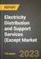 Electricity Distribution and Support Services (Except Market Outlook Report - Industry Size, Trends, Insights, Market Share, Competition, Opportunities, and Growth Forecasts by Segments, 2022 to 2030 - Product Image