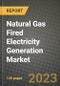 Natural Gas Fired Electricity Generation Market Outlook Report - Industry Size, Trends, Insights, Market Share, Competition, Opportunities, and Growth Forecasts by Segments, 2022 to 2030 - Product Image