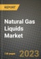 Natural Gas Liquids (NGLs) Market Outlook Report - Industry Size, Trends, Insights, Market Share, Competition, Opportunities, and Growth Forecasts by Segments, 2022 to 2030 - Product Thumbnail Image