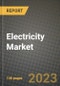 Electricity Market Outlook Report - Industry Size, Trends, Insights, Market Share, Competition, Opportunities, and Growth Forecasts by Segments, 2022 to 2030 - Product Image