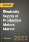 Electricity Supply or Production Meters Market Outlook Report - Industry Size, Trends, Insights, Market Share, Competition, Opportunities, and Growth Forecasts by Segments, 2022 to 2030 - Product Thumbnail Image