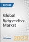 Global Epigenetics Market by Product & Service (Enzymes (DNA-modifying Enzymes), Kits & Reagents (Antibodies), Instrument, Software), Method (DNA Methylation), Technique (NGS, PCR, Mass Spectrometry), Application (Oncology, Immunology), and Region - Forecast to 2028 - Product Image