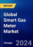 Global Smart Gas Meter Market (2023-2028) Competitive Analysis, Impact of Covid-19, Ansoff Analysis- Product Image