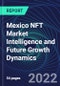 Mexico NFT Market Intelligence and Future Growth Dynamics Databook - 50+ KPIs on NFT Investments by Key Assets, Currency, Sales Channels - Q2 2022 - Product Image
