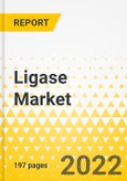 Ligase Market - A Global and Regional Analysis:Focus on Product, Source, Application, End User, and Country - Analysis and Forecast, 2022-2032- Product Image