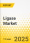 Ligase Market - A Global and Regional Analysis:Focus on Product, Source, Application, End User, and Country - Analysis and Forecast, 2022-2032 - Product Thumbnail Image