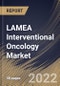 LAMEA Interventional Oncology Market Size, Share & Industry Trends Analysis Report By Cancer Type (Liver Cancer, Lung Cancer, Kidney Cancer, Breast Cancer, Prostate Cancer, Bone Metastasis), By Product Type, By End User, By Country and Growth Forecast, 2022 - 2028 - Product Thumbnail Image