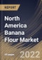 North America Banana Flour Market Size, Share & Industry Trends Analysis Report By Nature (Conventional and Organic), By Processing, By Form (Unripen and Ripen), By Distribution Channel, By End-use, By Country and Growth Forecast, 2022-2028 - Product Thumbnail Image