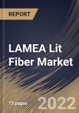 LAMEA Lit Fiber Market Size, Share & Industry Trends Analysis Report By Type (Multi-mode and Single-mode), By Connectivity (On-net and Off-net), By Application, By Country and Growth Forecast, 2022 - 2028- Product Image