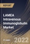 LAMEA Intravenous Immunoglobulin Market Size, Share & Industry Trends Analysis Report By Distribution Channel (Hospital Pharmacy, Specialty Pharmacy, and Others), By Application, By Country and Growth Forecast, 2022 - 2028 - Product Thumbnail Image
