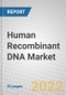 Human Recombinant DNA: Global Markets - Product Thumbnail Image