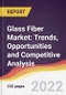 Glass Fiber Market: Trends, Opportunities and Competitive Analysis - Product Image