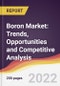 Boron Market: Trends, Opportunities and Competitive Analysis - Product Image