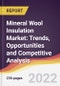 Mineral Wool Insulation Market: Trends, Opportunities and Competitive Analysis - Product Image