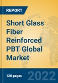 Short Glass Fiber Reinforced PBT Global Market Insights 2022, Analysis and Forecast to 2027, by Manufacturers, Regions, Technology, Application, Product Type- Product Image