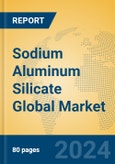 Sodium Aluminum Silicate Global Market Insights 2024, Analysis and Forecast to 2029, by Manufacturers, Regions, Technology, Application, Product Type- Product Image