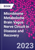 Microbiome Metabolome Brain Vagus Nerve Circuit in Disease and Recovery- Product Image