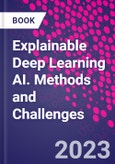 Explainable Deep Learning AI. Methods and Challenges- Product Image
