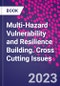 Multi-Hazard Vulnerability and Resilience Building. Cross Cutting Issues - Product Thumbnail Image