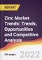 Zinc Market Trends: Trends, Opportunities and Competitive Analysis - Product Image