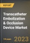 Transcatheter Embolization & Occlusion Device Market Research Report by Product (Accessories, Embolization Coils, and Embolization Particles), Application, End User, State - United States Forecast to 2027 - Cumulative Impact of COVID-19 - Product Thumbnail Image