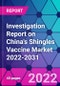 Investigation Report on China's Shingles Vaccine Market 2022-2031 - Product Thumbnail Image