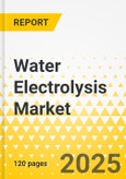 Water Electrolysis Market - A Global and Regional Analysis: Focus on End-Use Application, Electrolyzer Type, and Region - Analysis and Forecast, 2022-2031- Product Image