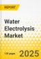 Water Electrolysis Market - A Global and Regional Analysis: Focus on End-Use Application, Electrolyzer Type, and Region - Analysis and Forecast, 2022-2031 - Product Thumbnail Image