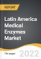 Latin America Medical Enzymes Market 2022-2028 - Product Thumbnail Image