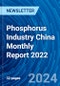 Phosphorus Industry China Monthly Report 2022 - Product Thumbnail Image