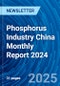 Phosphorus Industry China Monthly Report 2024 - Product Thumbnail Image