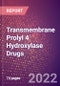 Transmembrane Prolyl 4 Hydroxylase (Hypoxia Inducible Factor Prolyl Hydroxylase 4 or P4HTM or EC 1.14.11.) Drugs in Development by Therapy Areas and Indications, Stages, MoA, RoA, Molecule Type and Key Players, 2022 Update - Product Thumbnail Image