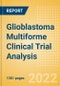 Glioblastoma Multiforme (GBM) Clinical Trial Analysis by Trial Phase, Trial Status, Trial Counts, End Points, Status, Sponsor Type, and Top Countries, 2022 Update - Product Thumbnail Image