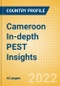 Cameroon In-depth PEST Insights - Product Thumbnail Image