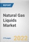 Natural Gas Liquids Market by Product, Application: Global Opportunity Analysis and Industry Forecast, 2020-2030 - Product Thumbnail Image