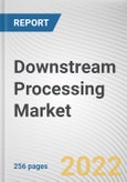 Downstream Processing Market By Technology, By Product, By System, By Application, By End User: Global Opportunity Analysis and Industry Forecast, 2020-2030- Product Image