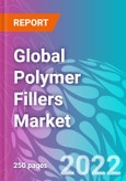Global Polymer Fillers Market Outlook to 2032- Product Image