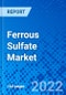 Ferrous Sulfate Market - Product Image