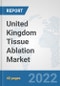 United Kingdom Tissue Ablation Market: Prospects, Trends Analysis, Market Size and Forecasts up to 2028 - Product Thumbnail Image