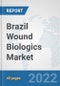 Brazil Wound Biologics Market: Prospects, Trends Analysis, Market Size and Forecasts up to 2028 - Product Thumbnail Image