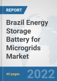 Brazil Energy Storage Battery for Microgrids Market: Prospects, Trends Analysis, Market Size and Forecasts up to 2028- Product Image