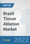 Brazil Tissue Ablation Market: Prospects, Trends Analysis, Market Size and Forecasts up to 2028 - Product Thumbnail Image