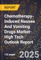2025 Global Forecast for Chemotherapy-Induced Nausea And Vomiting Drugs Market (2026-2031 Outlook)-High Tech Outlook Report - Product Thumbnail Image